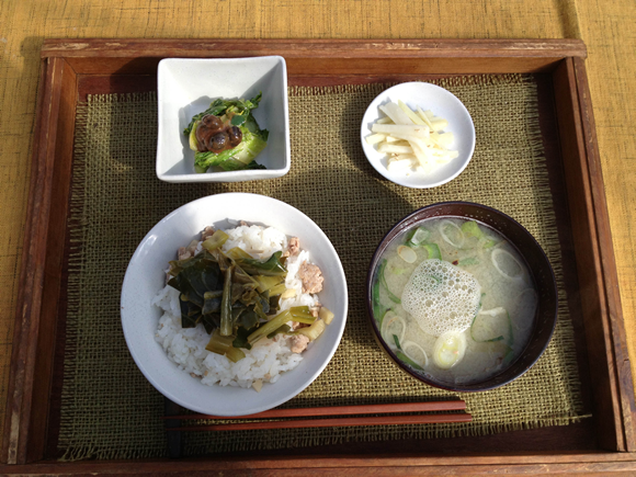SYOKU-YABO食事